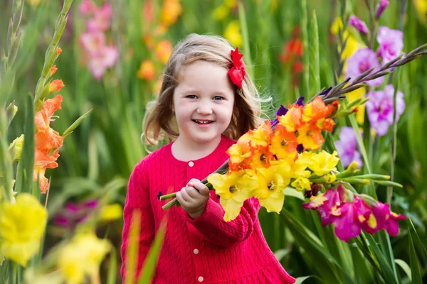 Criança colhendo flores frescas de gladíolo — Fotografia de Stock