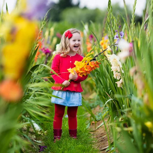 Criança colhendo flores frescas de gladíolo — Fotografia de Stock