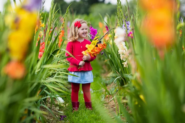 Дитина збирає свіжі квіти гладіолусів — стокове фото