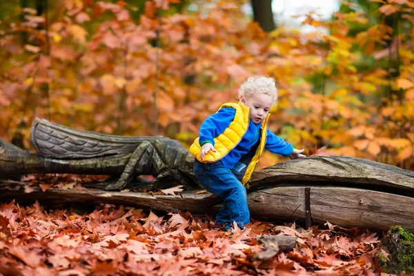 Niños jugando en el parque de otoño —  Fotos de Stock