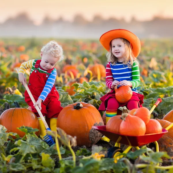 Niños recogiendo calabazas en el parche de calabaza de Halloween — Foto de Stock