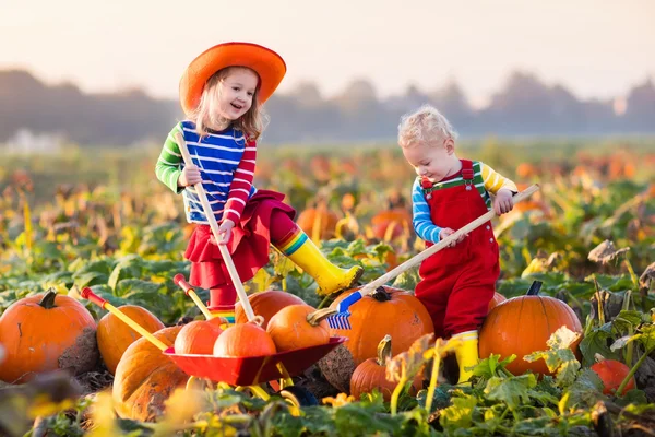 Kids picking pumpkins on Halloween pumpkin patch — Stock Photo, Image