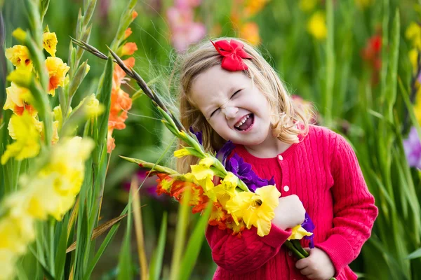 Kind pflückt frische Gladiolenblüten — Stockfoto