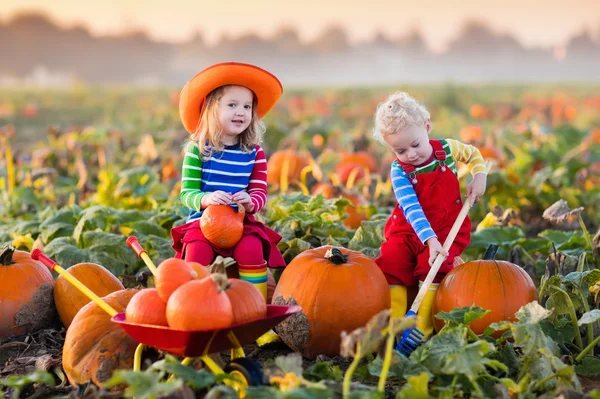 Lapset poiminta kurpitsat Halloween kurpitsa laastari — kuvapankkivalokuva