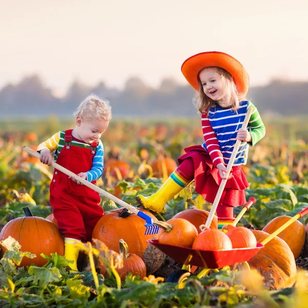 Crianças pegando abóboras no patch de abóbora de Halloween — Fotografia de Stock