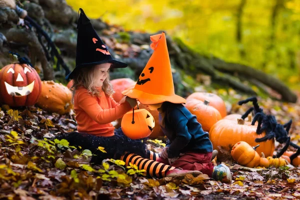 Barn med pumpor på Halloween — Stockfoto
