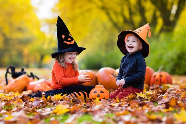 Kinder mit Kürbissen zu Halloween — Stockfoto