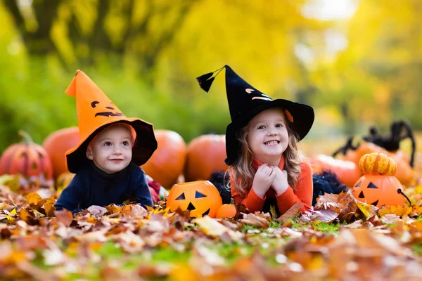 Kids with pumpkins on Halloween — Stock Photo, Image