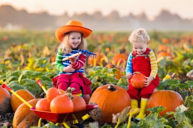 Çocuklar Halloween kabak yama üzerinde kabak toplama