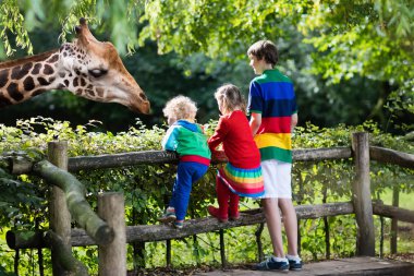 Kids feeding giraffe at the zoo clipart