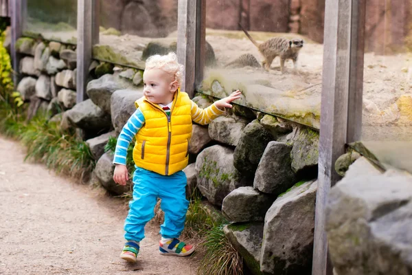 Маленький мальчик смотрит животных в зоопарке — стоковое фото