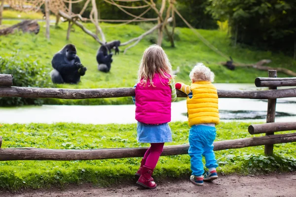 Crianças assistindo animais no zoológico — Fotografia de Stock