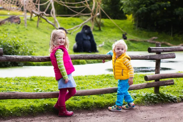 Kids watching animals at the zoo — Stock Photo, Image