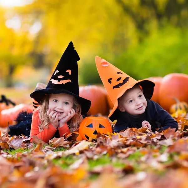 A gyerekek a Halloween pumpkins-szal — Stock Fotó