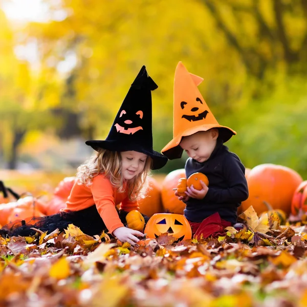 Niños con calabazas en Halloween — Foto de Stock