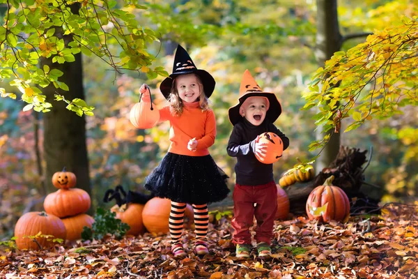 Niños con calabazas en Halloween — Foto de Stock