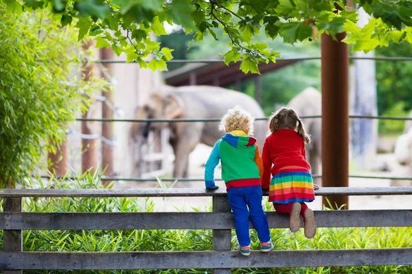 Діти дивляться слона в зоопарку — стокове фото