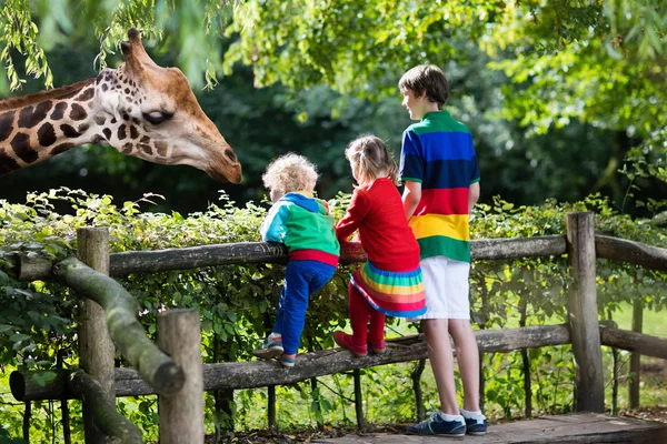 Enfants nourrissant girafe au zoo — Photo