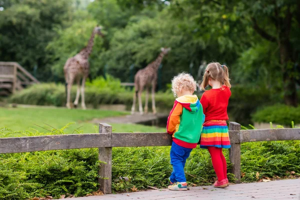 Дети смотрят жирафа в зоопарке — стоковое фото