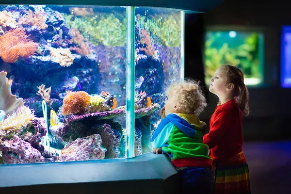 Barnen tittar på fisk i tropisk akvarium — Stockfoto