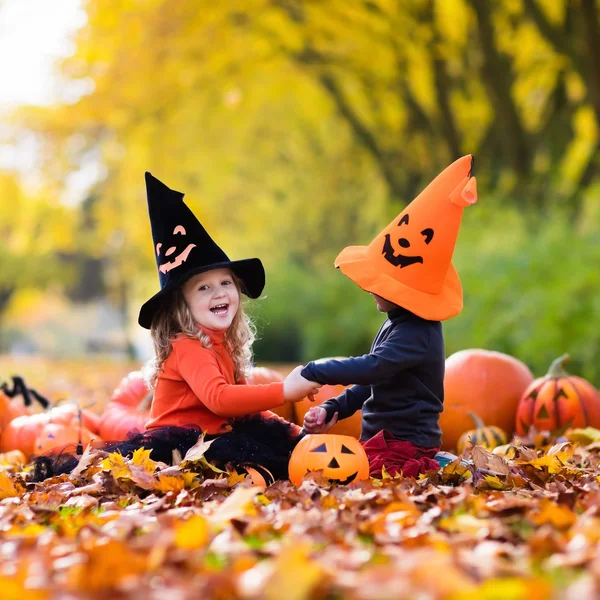 Niños con calabazas en Halloween — Foto de Stock