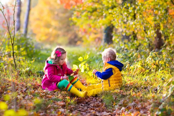 Niños jugando en el parque de otoño —  Fotos de Stock