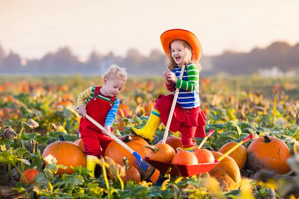 Niños recogiendo calabazas en el parche de calabaza de Halloween —  Fotos de Stock