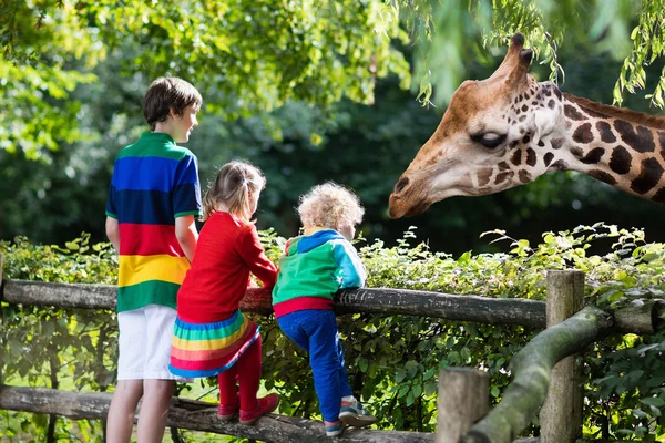 Crianças alimentando girafa no zoológico — Fotografia de Stock