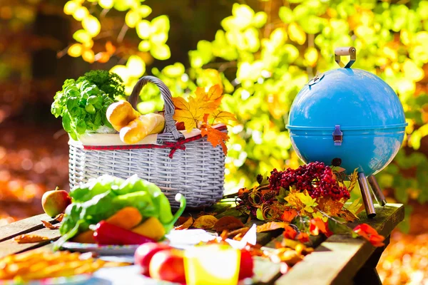 Sonbahar bahçesinde ızgara ve piknik sepeti — Stok fotoğraf