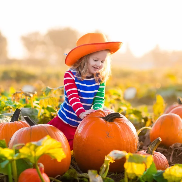 Kind spelen op pompoen patch — Stockfoto