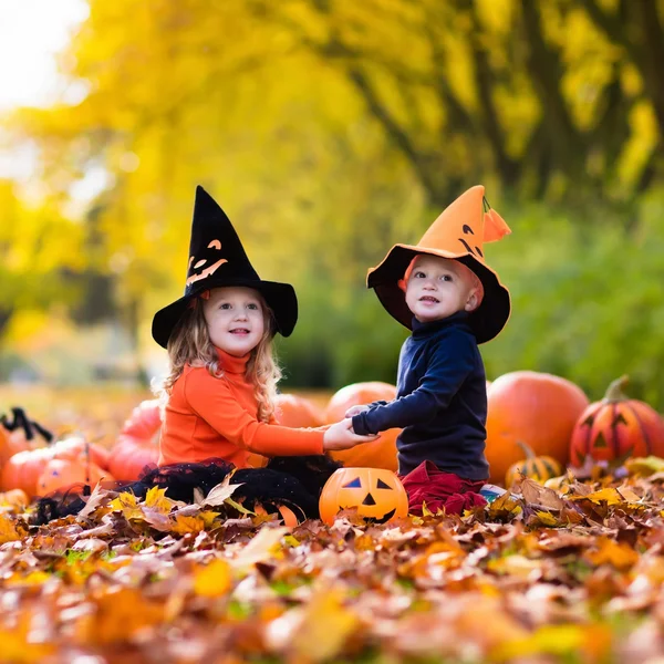 Enfants avec des citrouilles sur Halloween — Photo