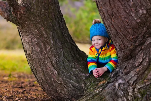 Malý kluk hraje na podzim park — Stock fotografie