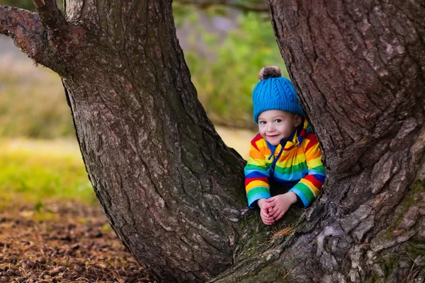 Jongetje spelen in herfst park — Stockfoto