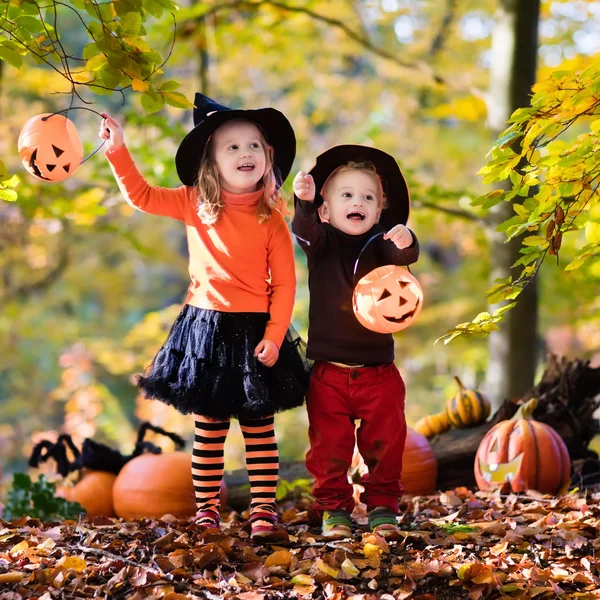 Niños con calabazas en Halloween — Foto de Stock