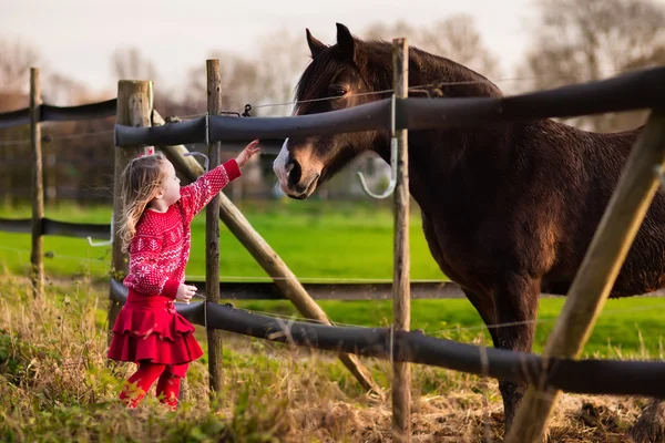 Kids feeding horse on a farm — Stock Photo, Image