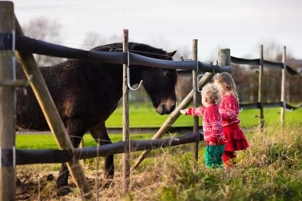 Kids feeding horse on a farm — Stock Photo, Image