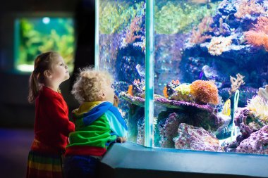 Kids watching fish in tropical aquarium clipart