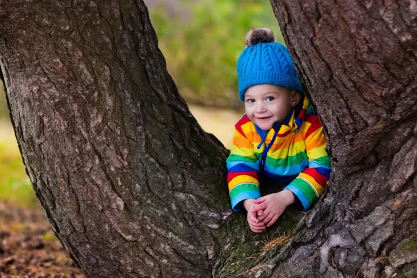 Jongetje spelen in herfst park — Stockfoto