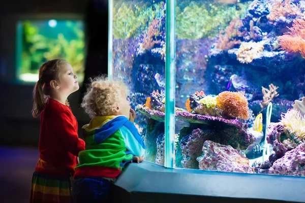 Kids watching fish in tropical aquarium — Stock Photo, Image