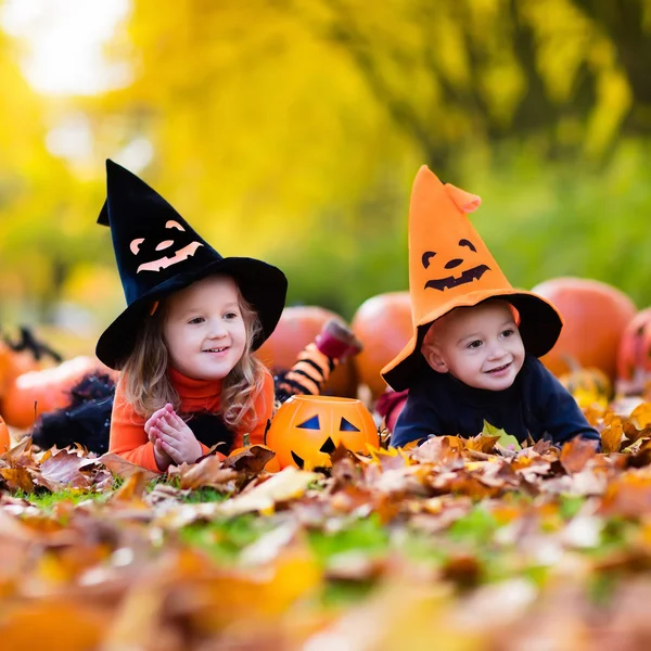 Crianças com abóboras no Halloween — Fotografia de Stock