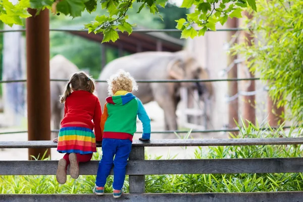 Dzieci oglądanie słonia w zoo — Zdjęcie stockowe