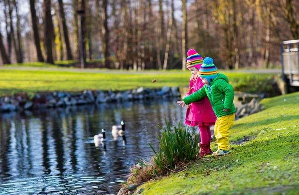 Niños alimentando patos en el parque de otoño — Foto de Stock