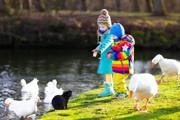 Kids feeding otter in autumn park — Stock Photo, Image