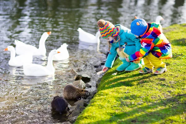 Kids feeding otter in autumn park — Stock Photo, Image