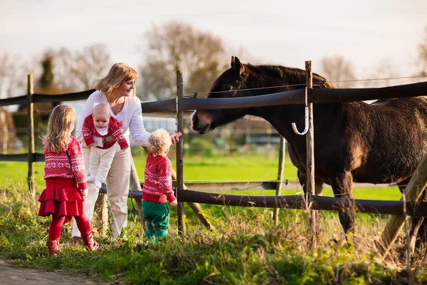 Rodzina z dziećmi karmienia konia — Zdjęcie stockowe