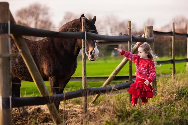 Barn utfodring häst på en gård — Stockfoto