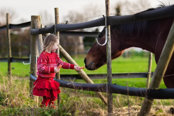 Barn utfodring häst på en gård — Stockfoto