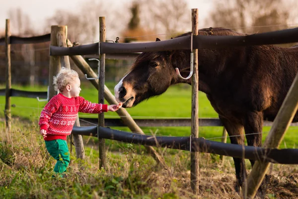 Kids feeding horse on a farm — Stock Photo, Image