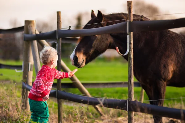 Barn utfodring häst på en gård — Stockfoto