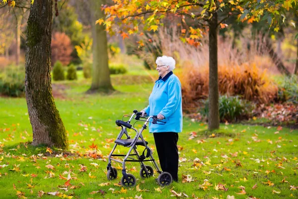 Signora anziana con un camminatore nel parco autunnale — Foto Stock